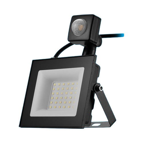 Switched 30W LED Flood Light with Automatic Motion Sensor (SWD-10016-30)