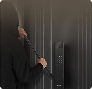 EZVIZ Smart Door Lock (CS-Y3000FVP-R101-WBP)